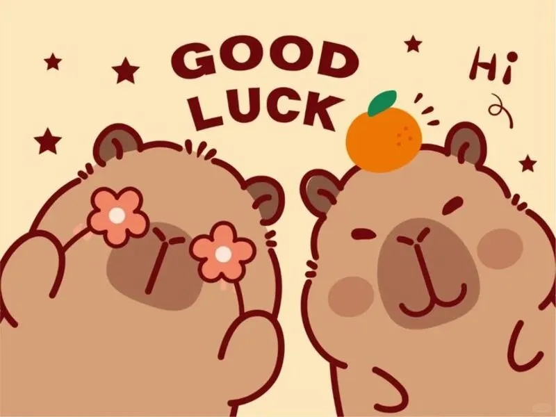 Ảnh capybara siêu dễ thương, thích hợp cho mọi lứa tuổi