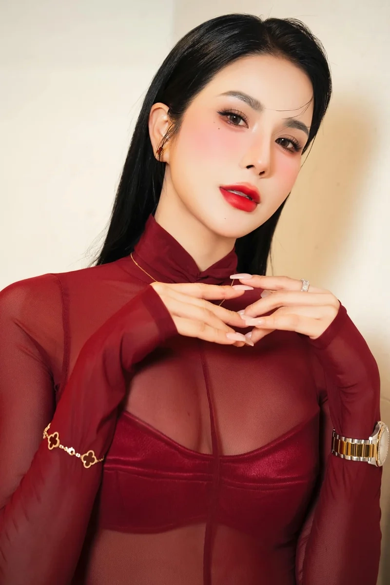 Giải đáp thắc mắc Diệp Lâm Anh quê ở đâu chính xác