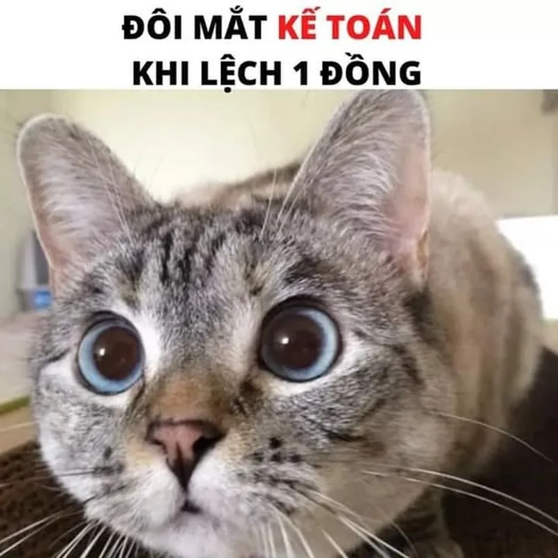Khám phá sự thật hài hước từ meme số liệu không khớp quen thuộc