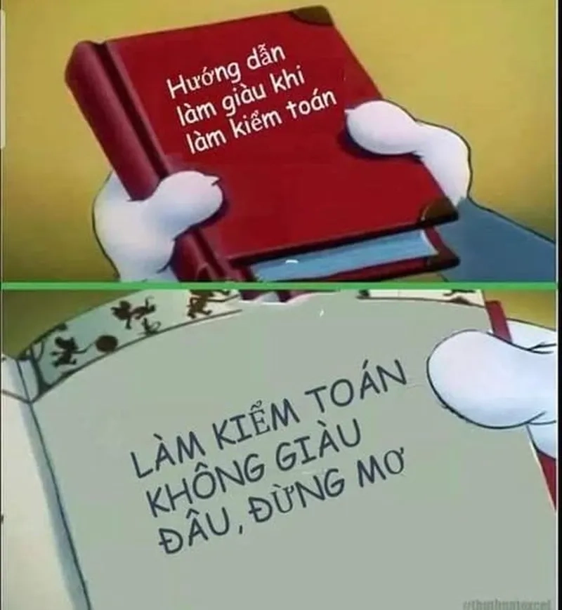 Giải trí nhẹ nhàng qua loạt meme kiểm toán dí dỏm và sáng tạo