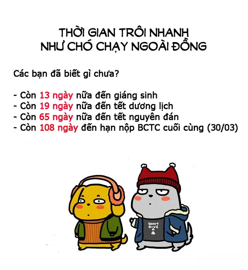 Học hỏi từ meme báo cáo tài chính hài hước nhưng rất thực tế