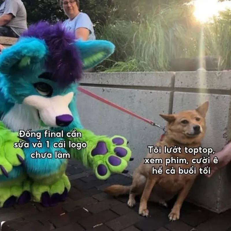 Căng thẳng deadline nhưng vẫn vui với meme designer và deadline