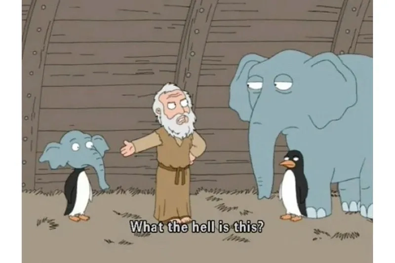 Phản ứng cực chất với bộ sưu tập meme what the hell