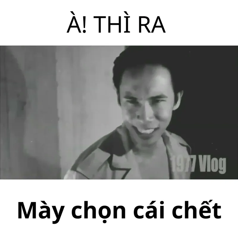 Góc nhìn xưa cũ nhưng chất từ meme 1977 Vlog