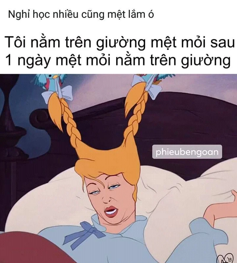 Xem ngay những khoảnh khắc hài hước trong meme nằm trên giường