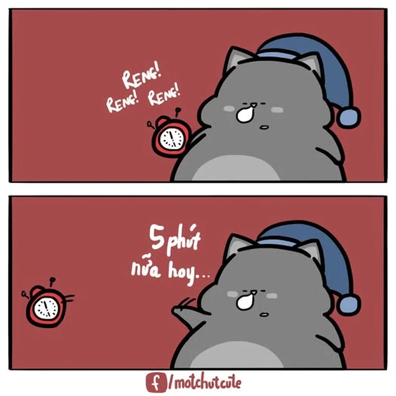 Bật báo thức rồi ngủ tiếp cùng meme bật báo thức và ngủ tiếp vui nhộn
