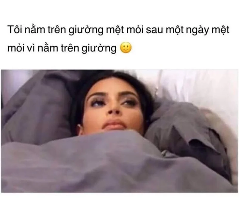 Thả mình với những tình huống hài hước của meme lười biếng chất lượng