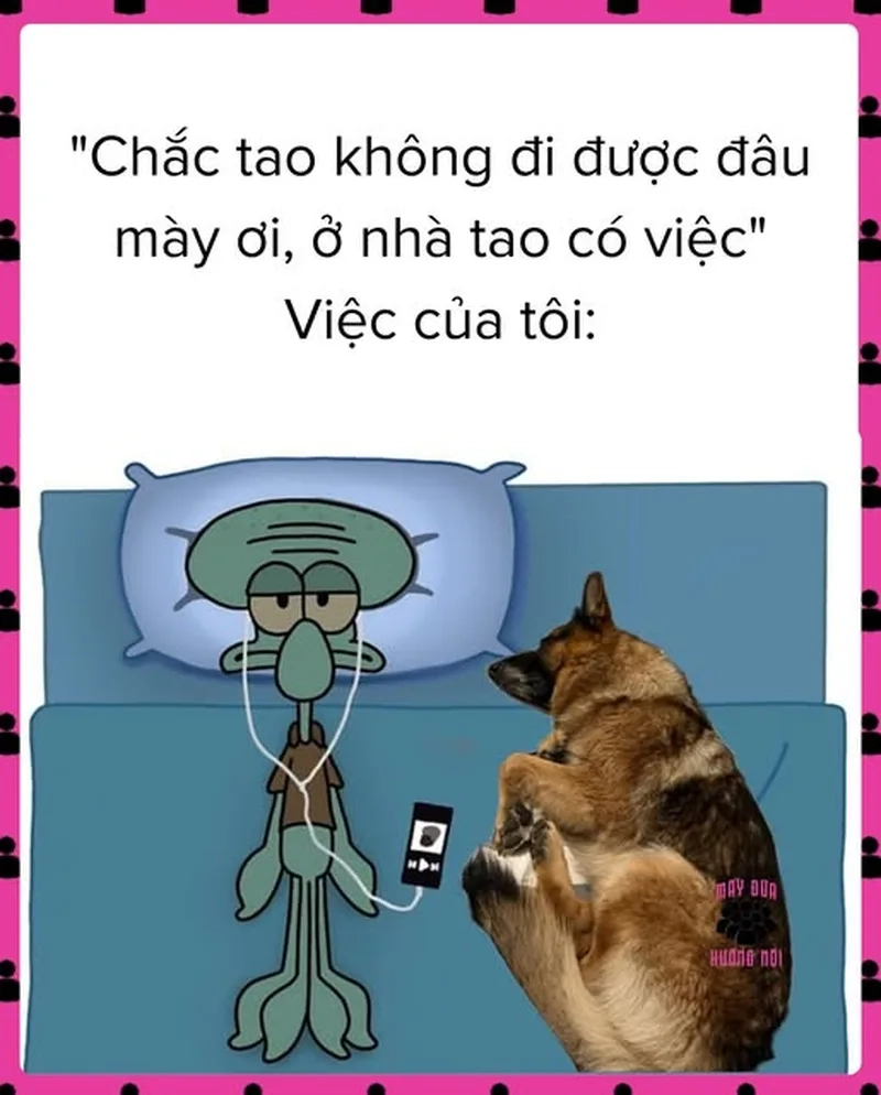 Thấu hiểu bản thân với meme hướng nội tinh tế