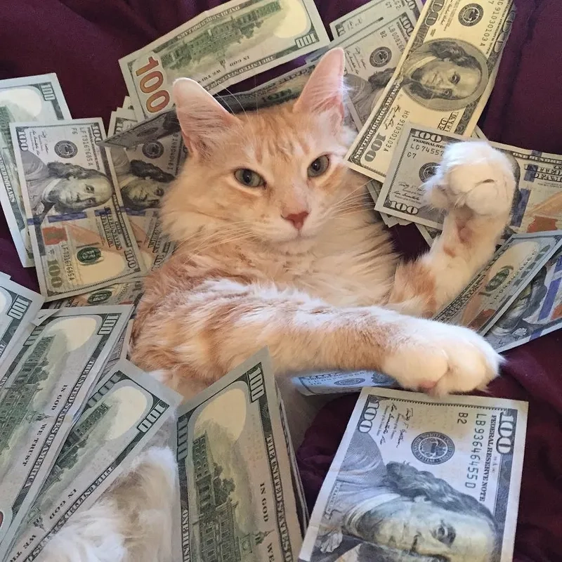 Dân tài chính không thể bỏ qua meme flexing vui không tưởng