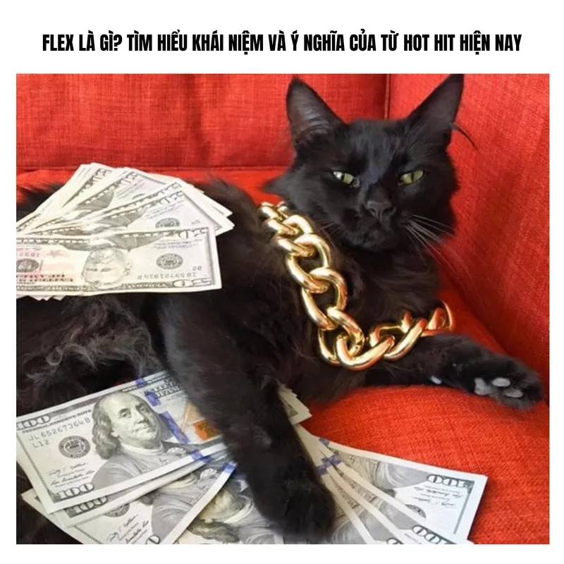 Tự tin khoe tiền với bộ sưu tập meme flexing cực chất