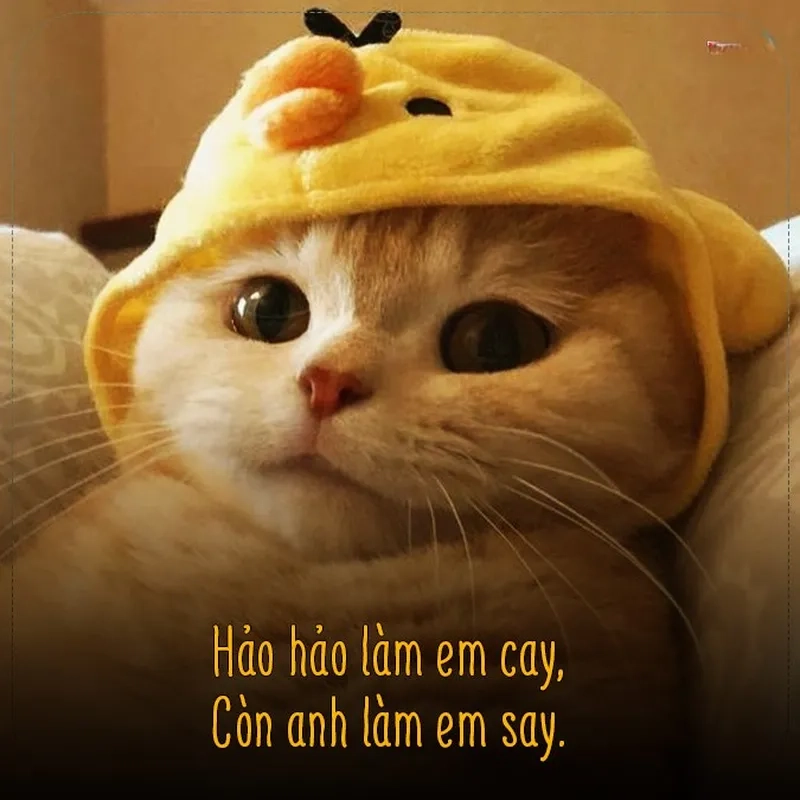 Khi trái tim rung động với meme cho crush siêu dễ thương