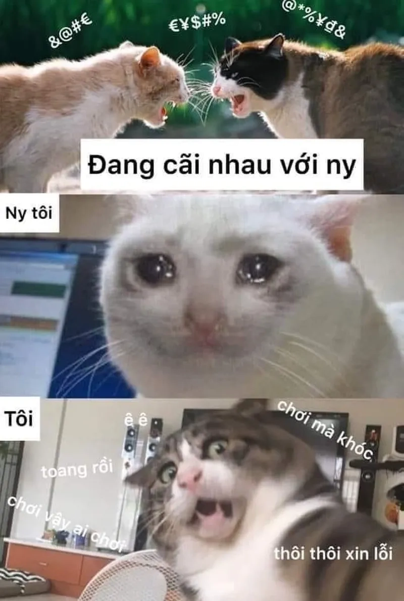 Ai từng trải qua sẽ hiểu meme cãi nhau với người yêu