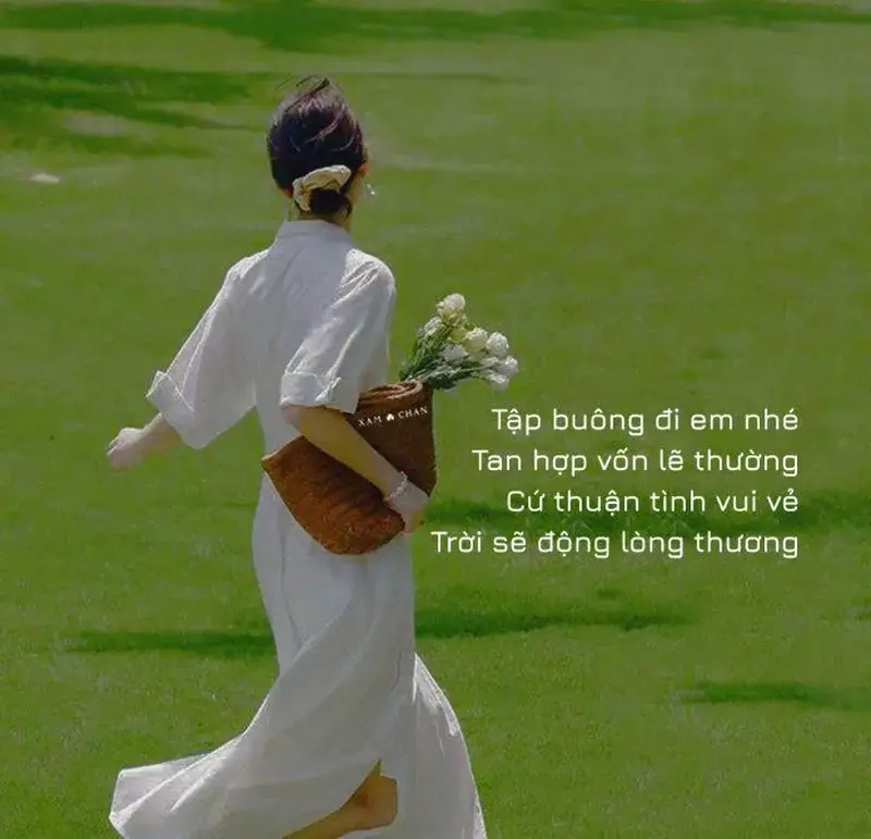 Cùng cười vui với bộ sưu tập meme yêu đời mới nhất