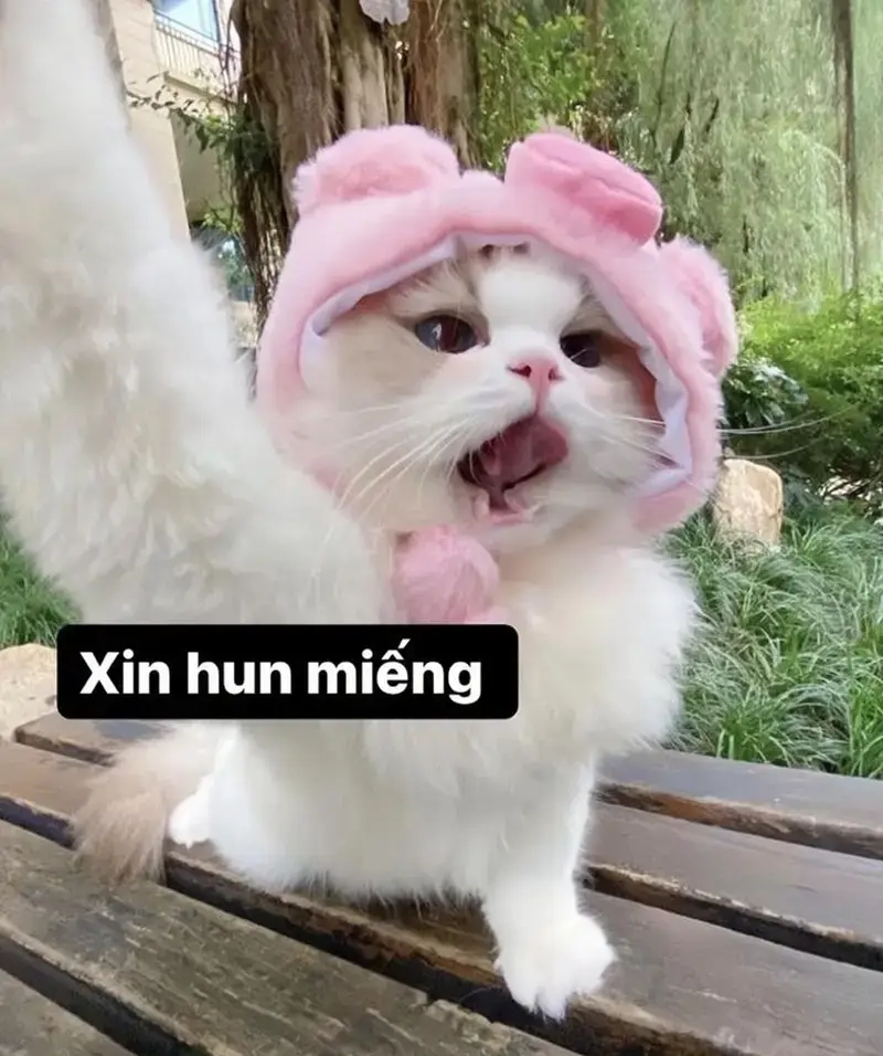 Lan tỏa yêu thương qua những meme yêu bản thân hay nhất
