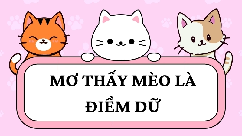 Mơ thấy mèo là điềm dữ