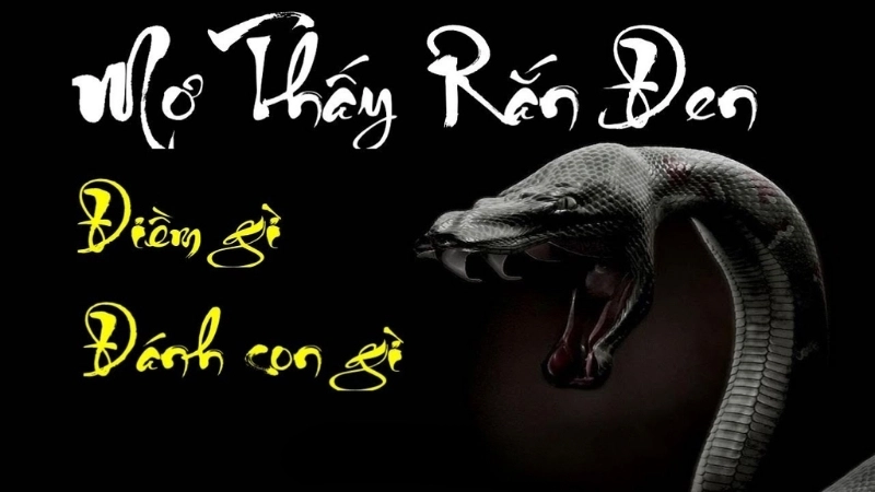 Giải thích nằm mơ thấy rắn đen