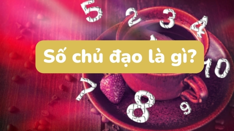 Số chủ đạo là gì?