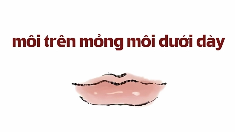 Tướng môi mỏng hợp với nghề gì?