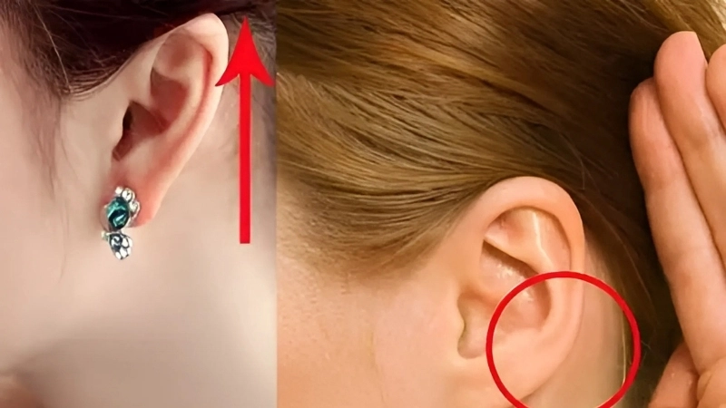 Tai rồng phong thủy – Tốt hay xấu?