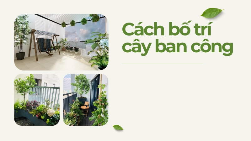Bố trí cây cảnh ban công hợp hướng đón vượng khí