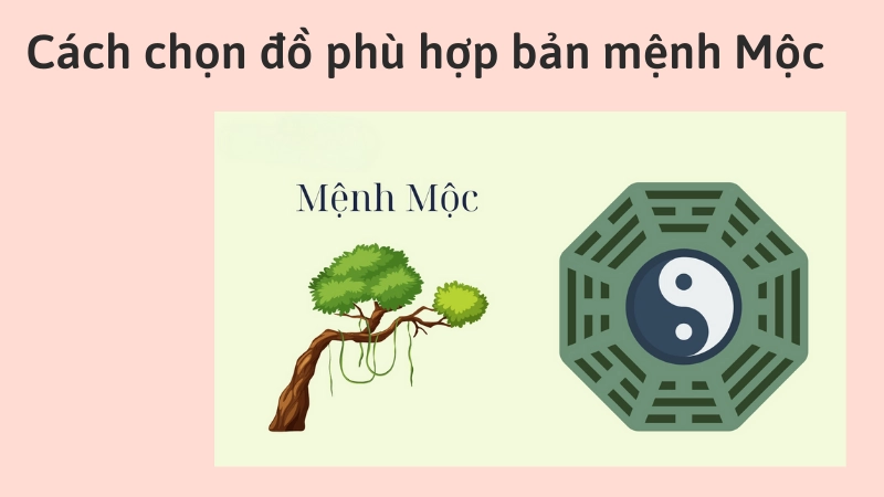 Lựa chọn màu sắc vật mang theo giúp kích tài vận cho người mệnh Mộc