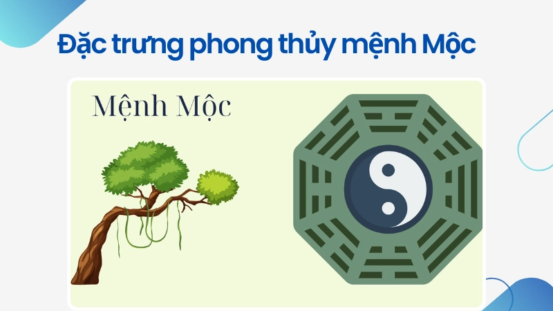 Đặc điểm phong thủy nổi bật của người mệnh Mộc là gì