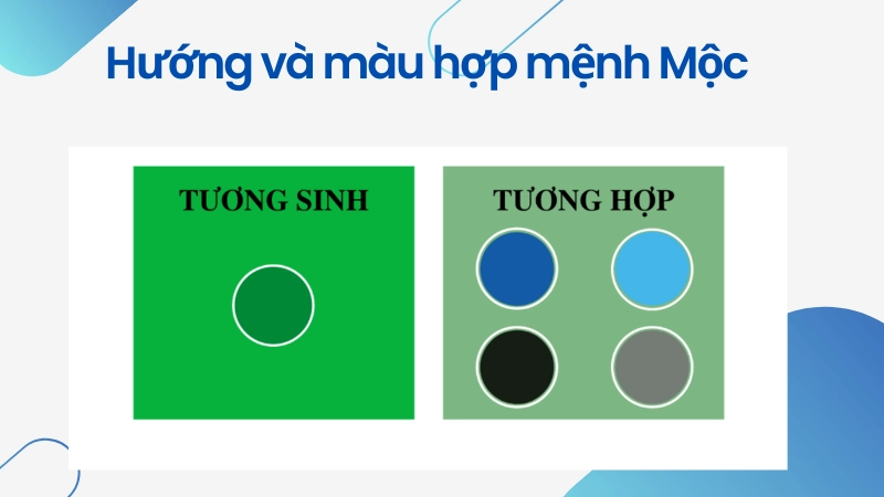 Màu sắc và hướng hợp mệnh Mộc cần biết để thành công