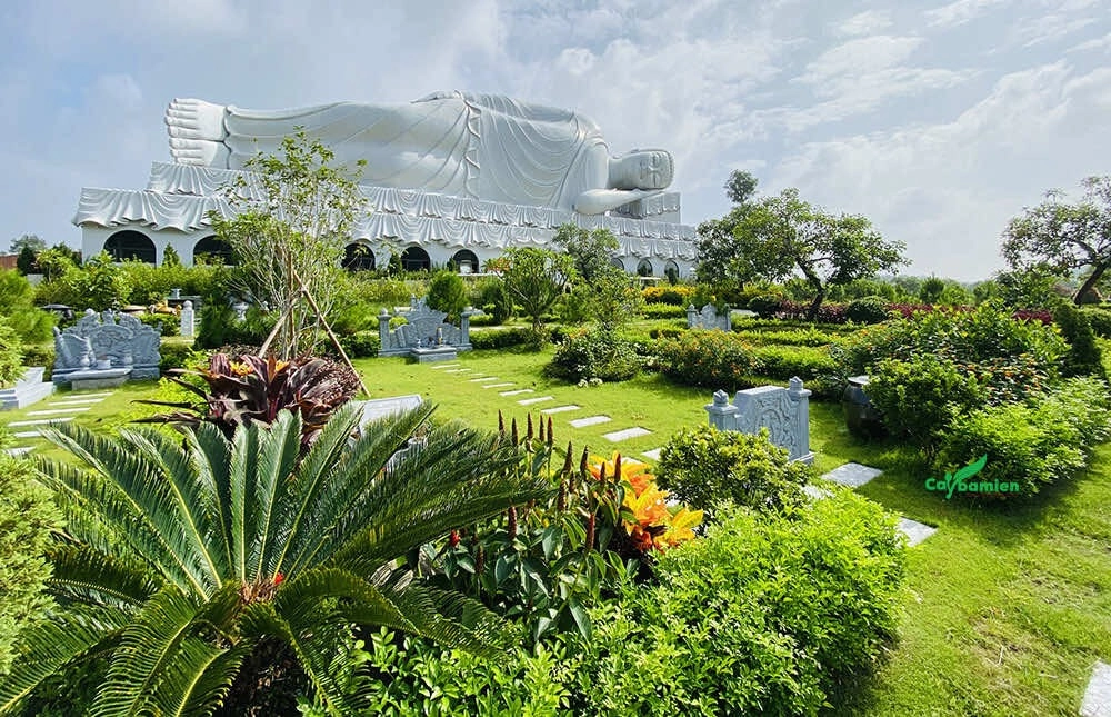 Cây xanh quanh mộ tạo không gian yên bình, thanh tịnh.